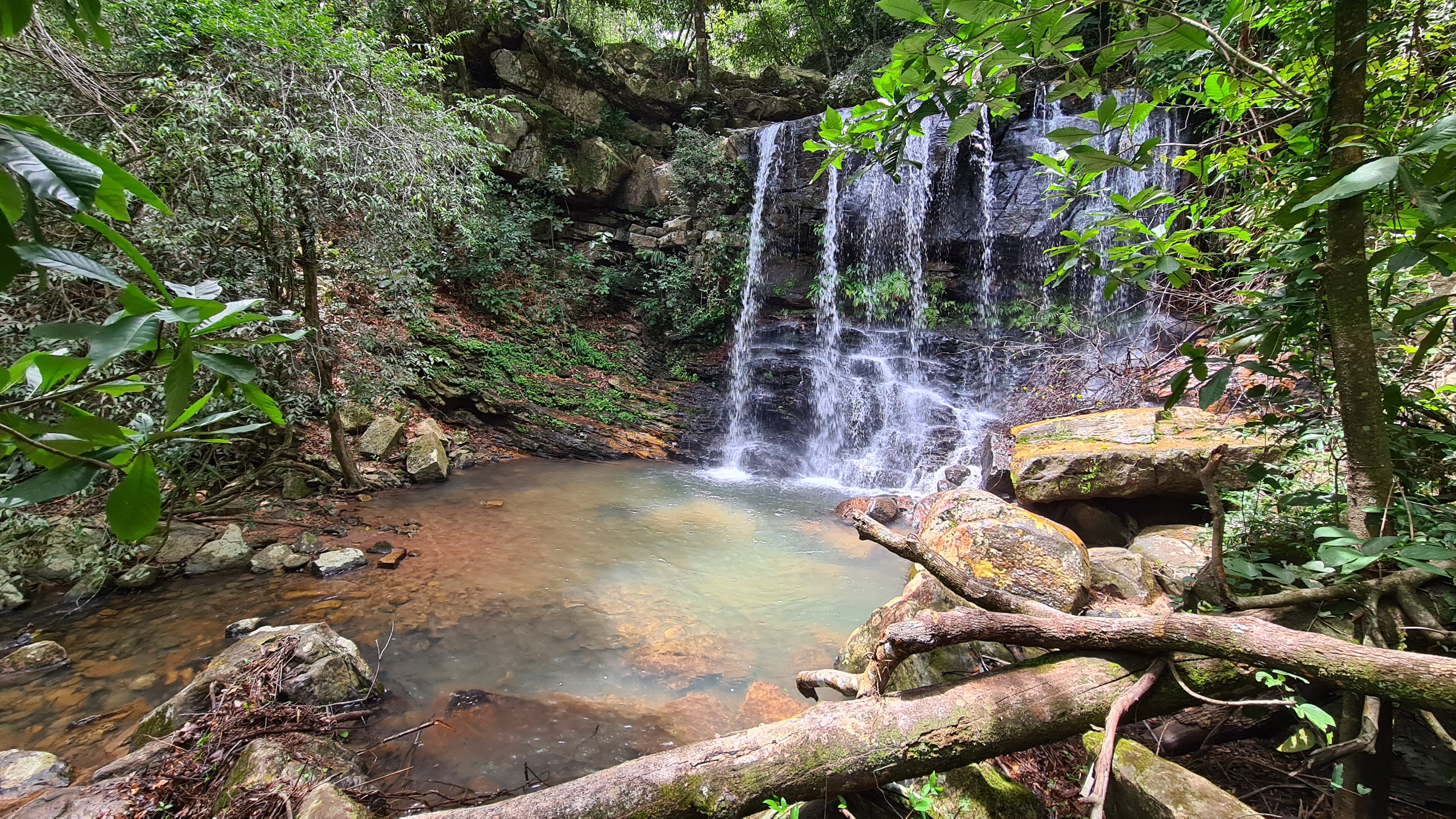 Trilha da Cachoeira - 3,55 km (7,10 km ida e volta) - Fazenda Gavião Real