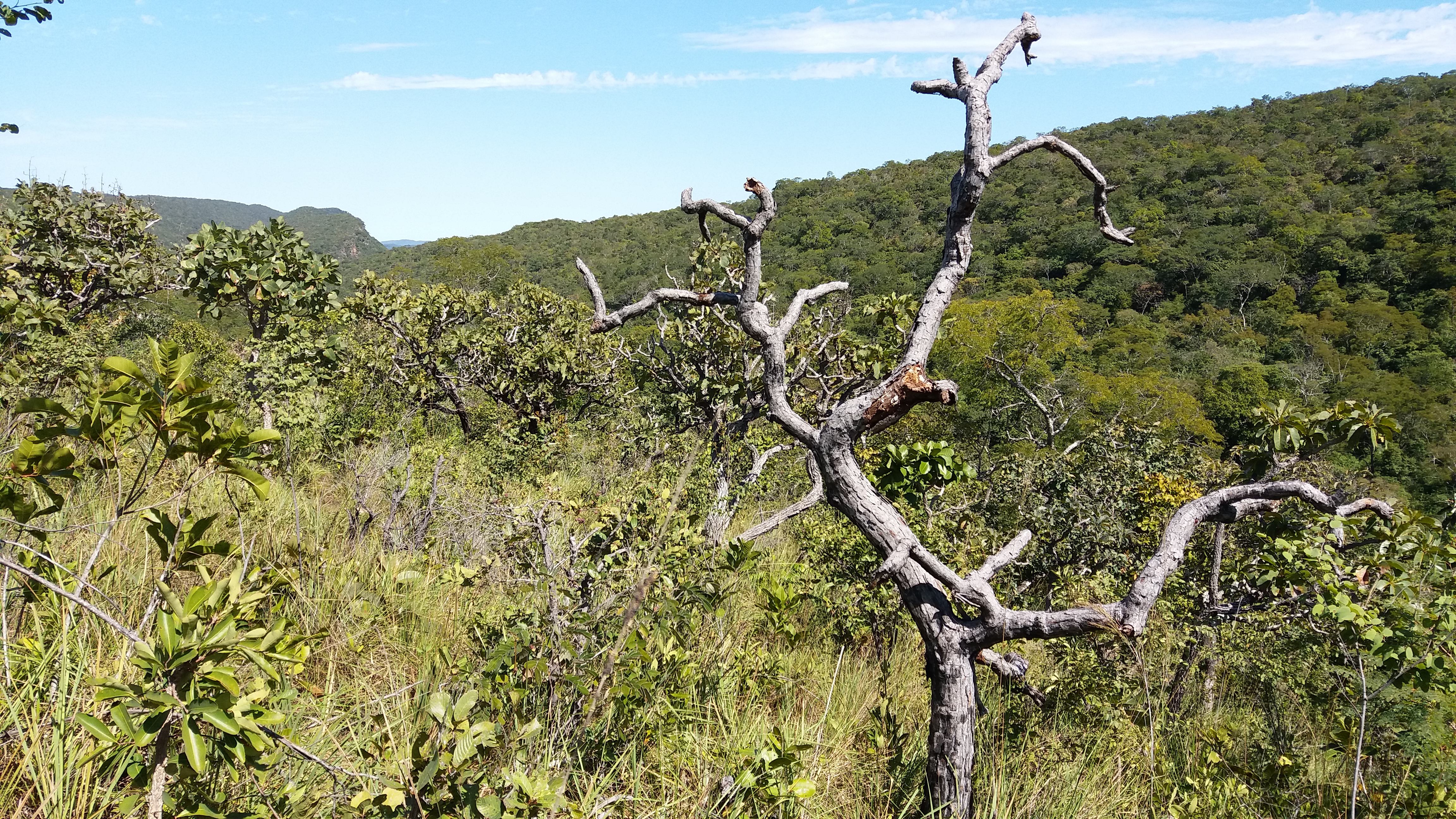 Trilha do Vale Perdido - 10,44 km (20,88 km ida e volta) - Fazenda Gavião Real