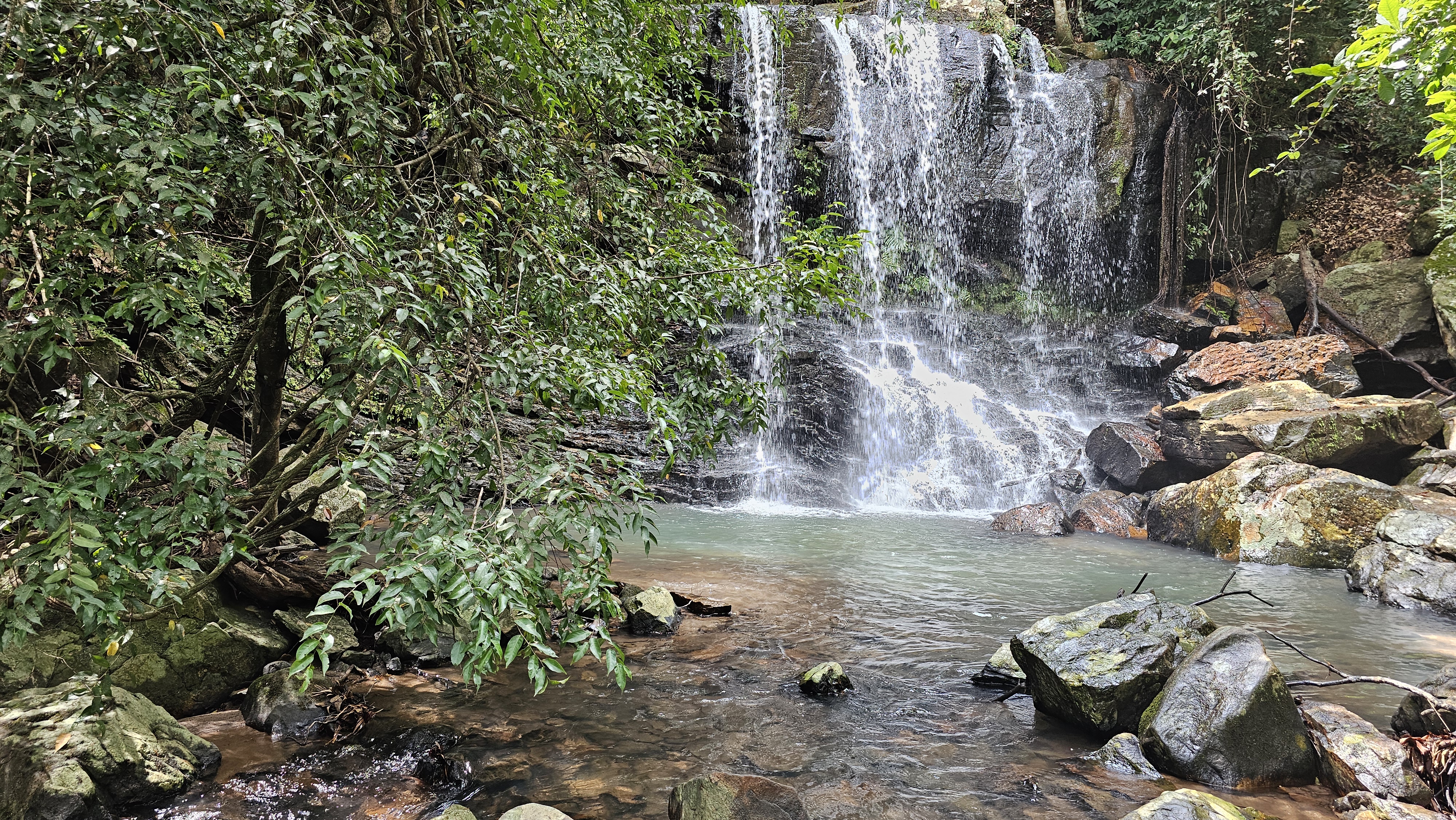 Fotografias Trilha da Cachoeira - Fazenda Gavião Real