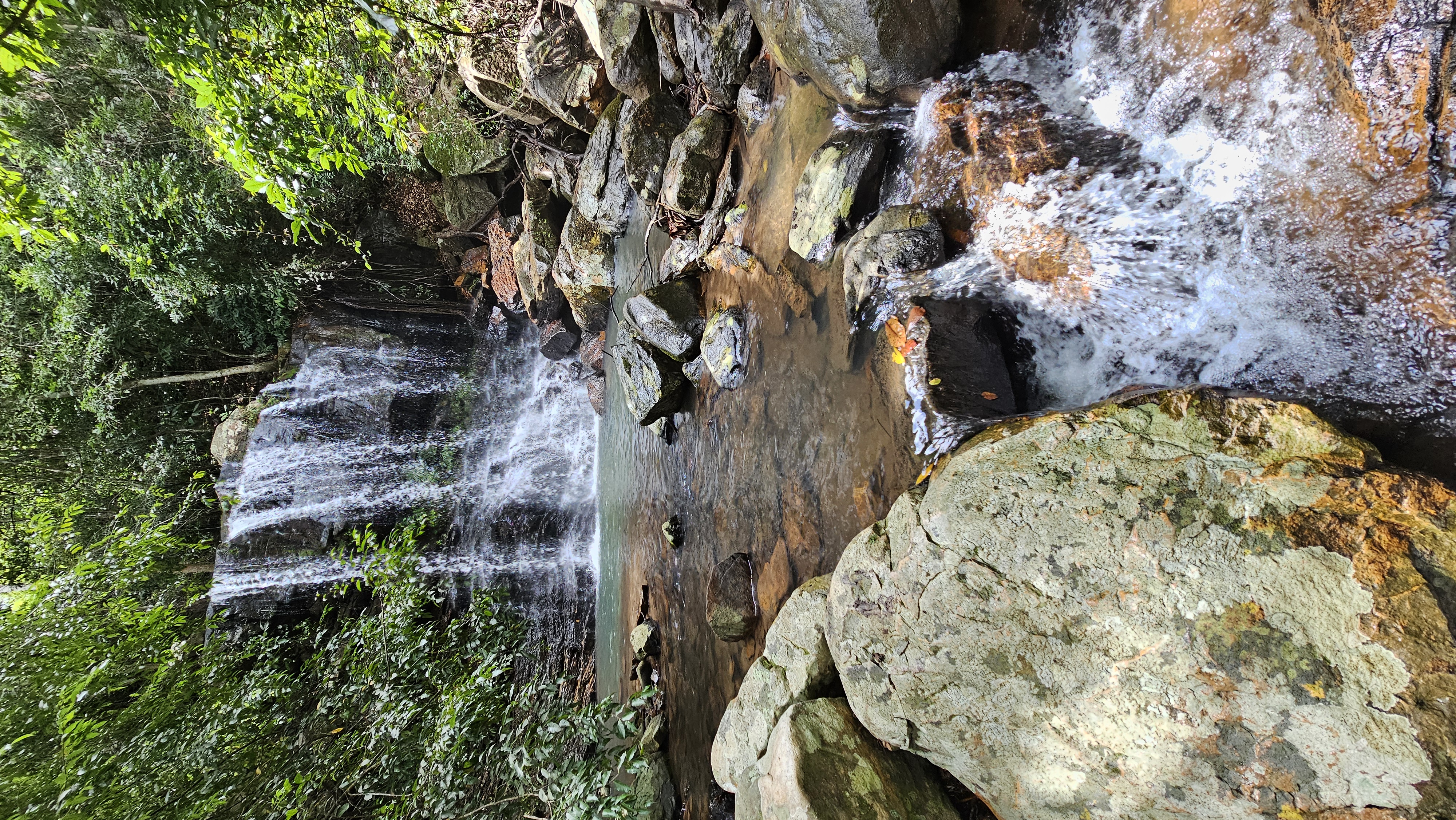 Fotografias Trilha da Cachoeira - Fazenda Gavião Real