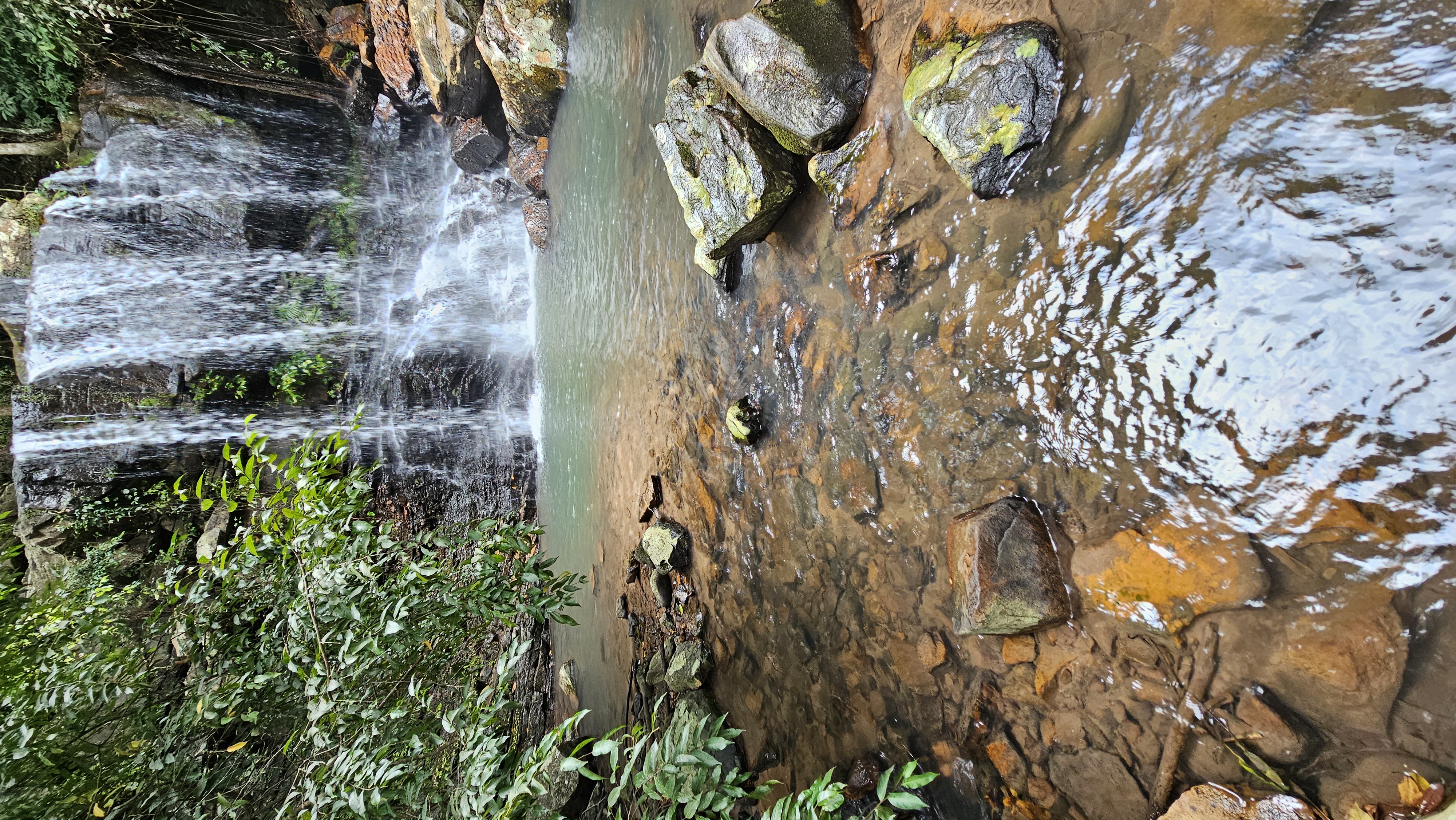 Fotografias Trilha da Cachoeira - Fazenda Gavião Real