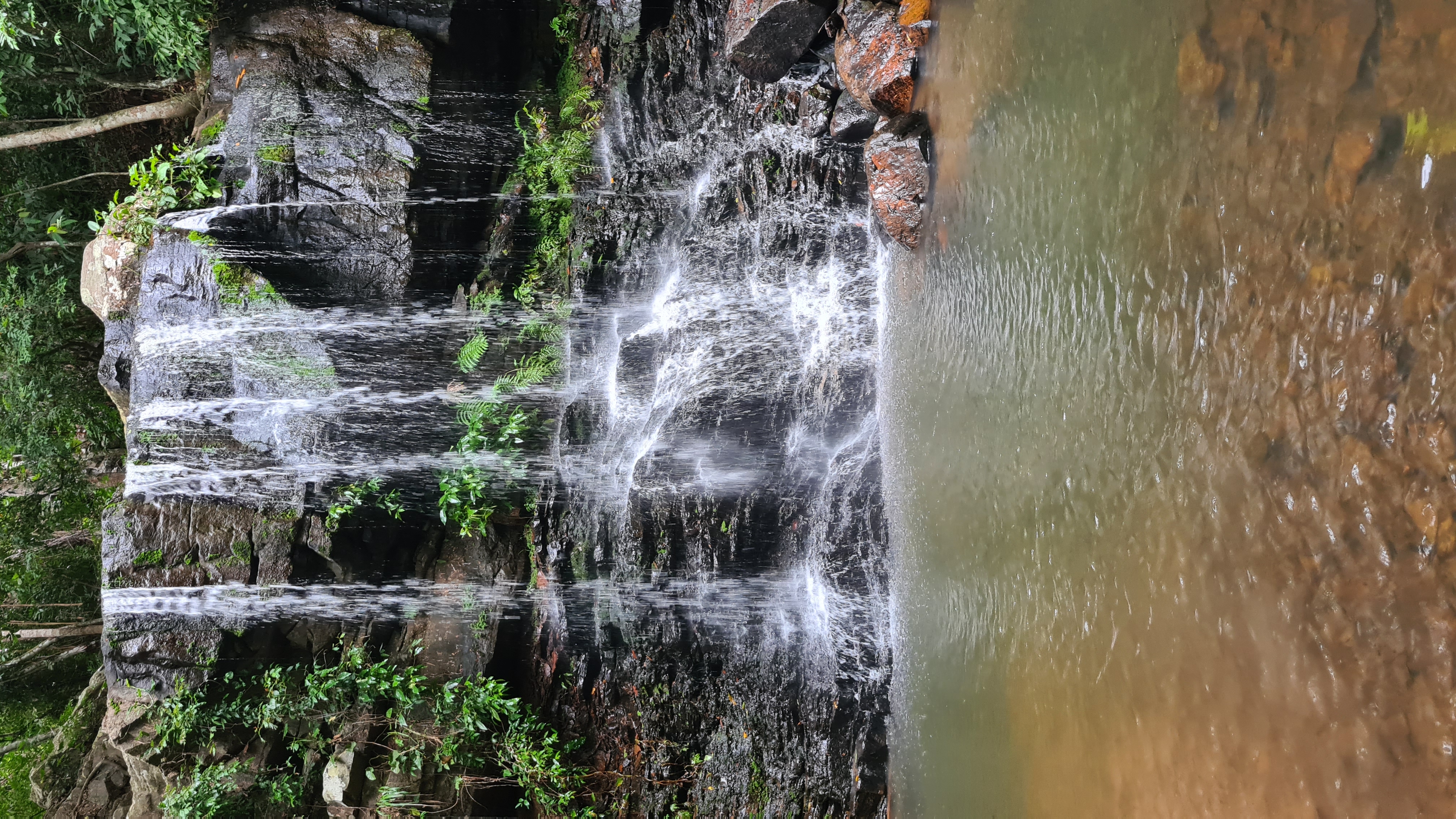 Fotografias Trilha da Cachoeira - Fazenda Gavião Real