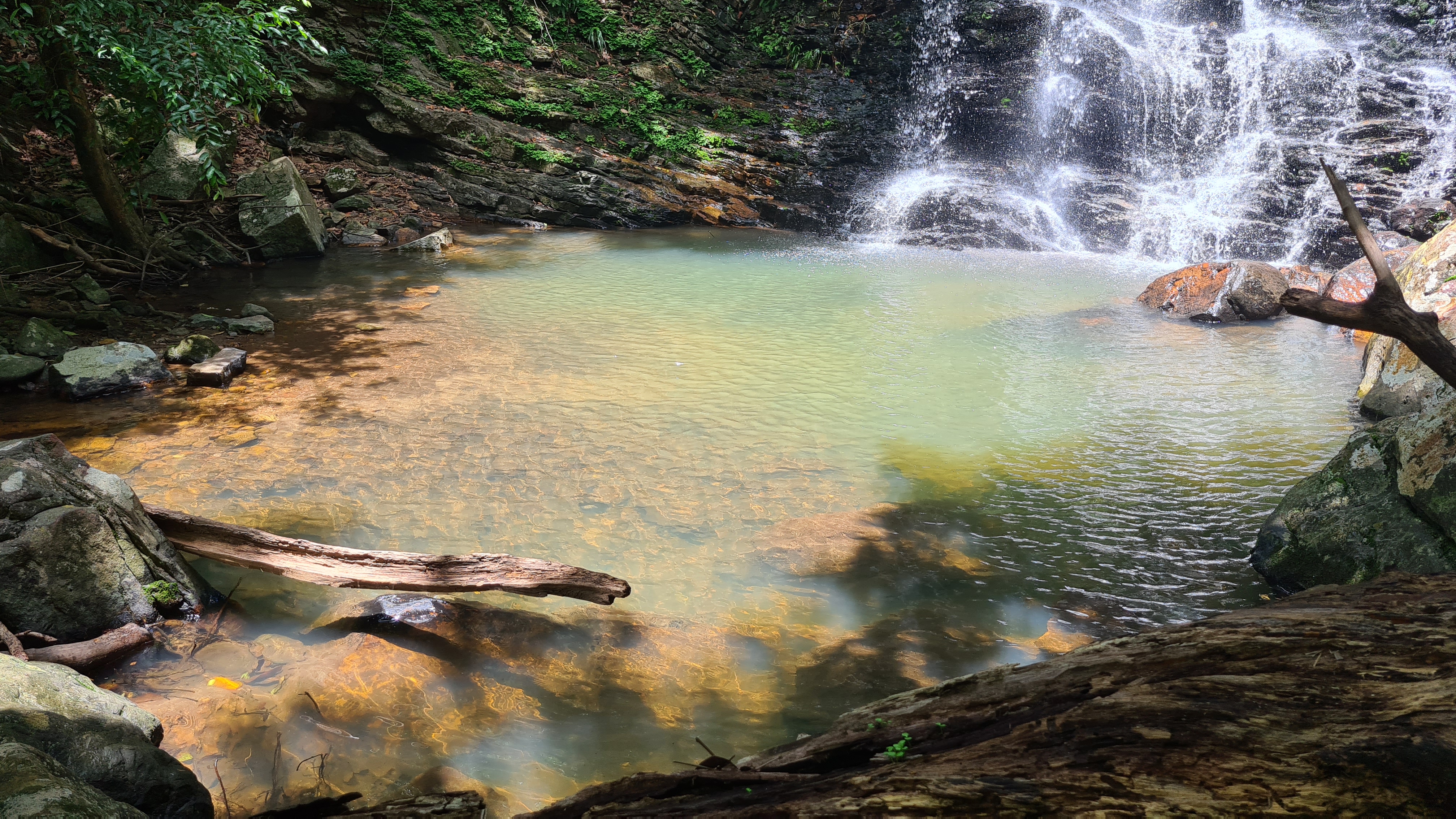 Fotografias Trilha da Cachoeira - Fazenda Gavião Real
