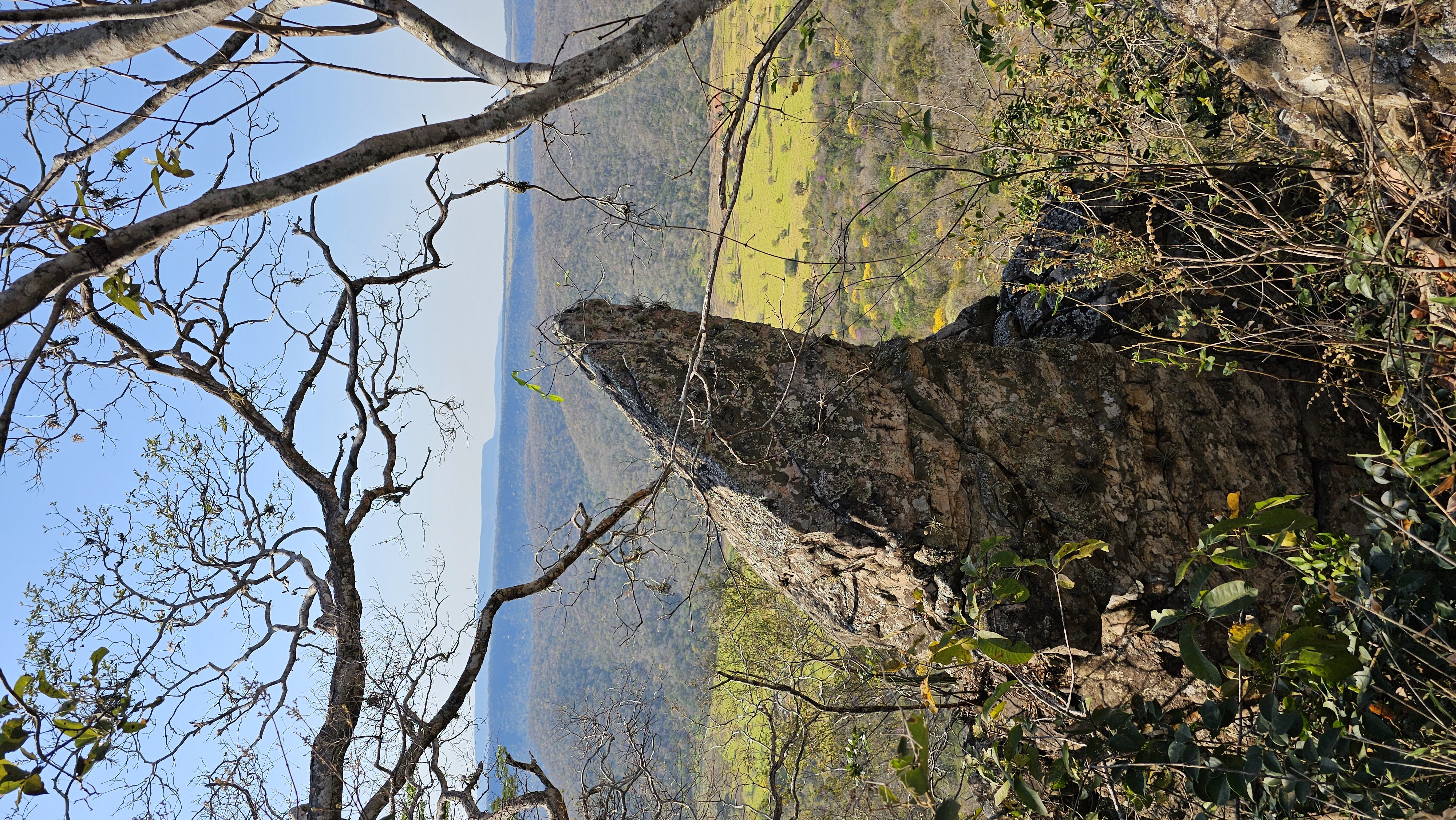 Fotografias Trilha da Anta - Fazenda Gavião Real