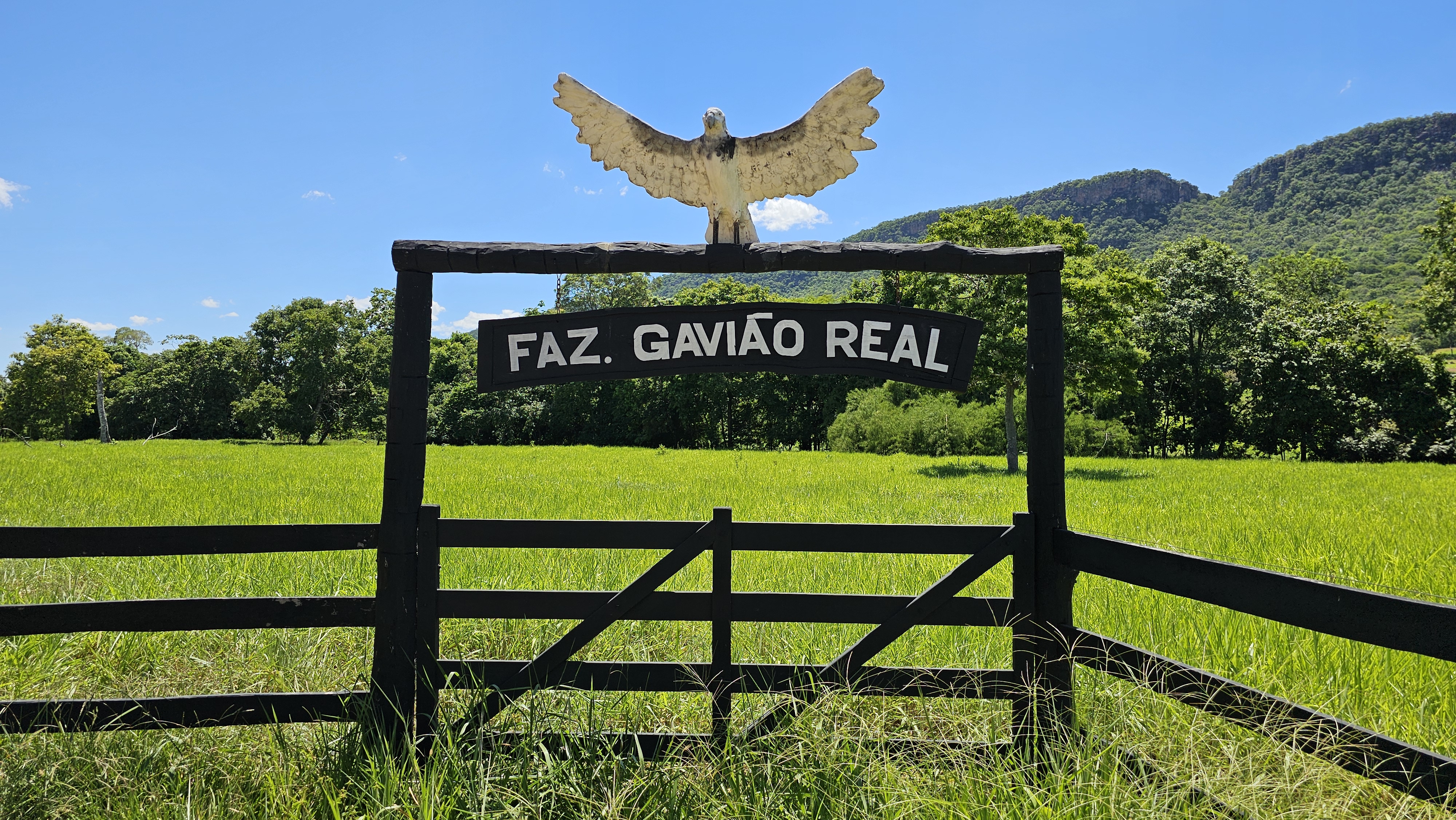 Fotografias Fazenda Gavião Real - Fazenda Gavião Real