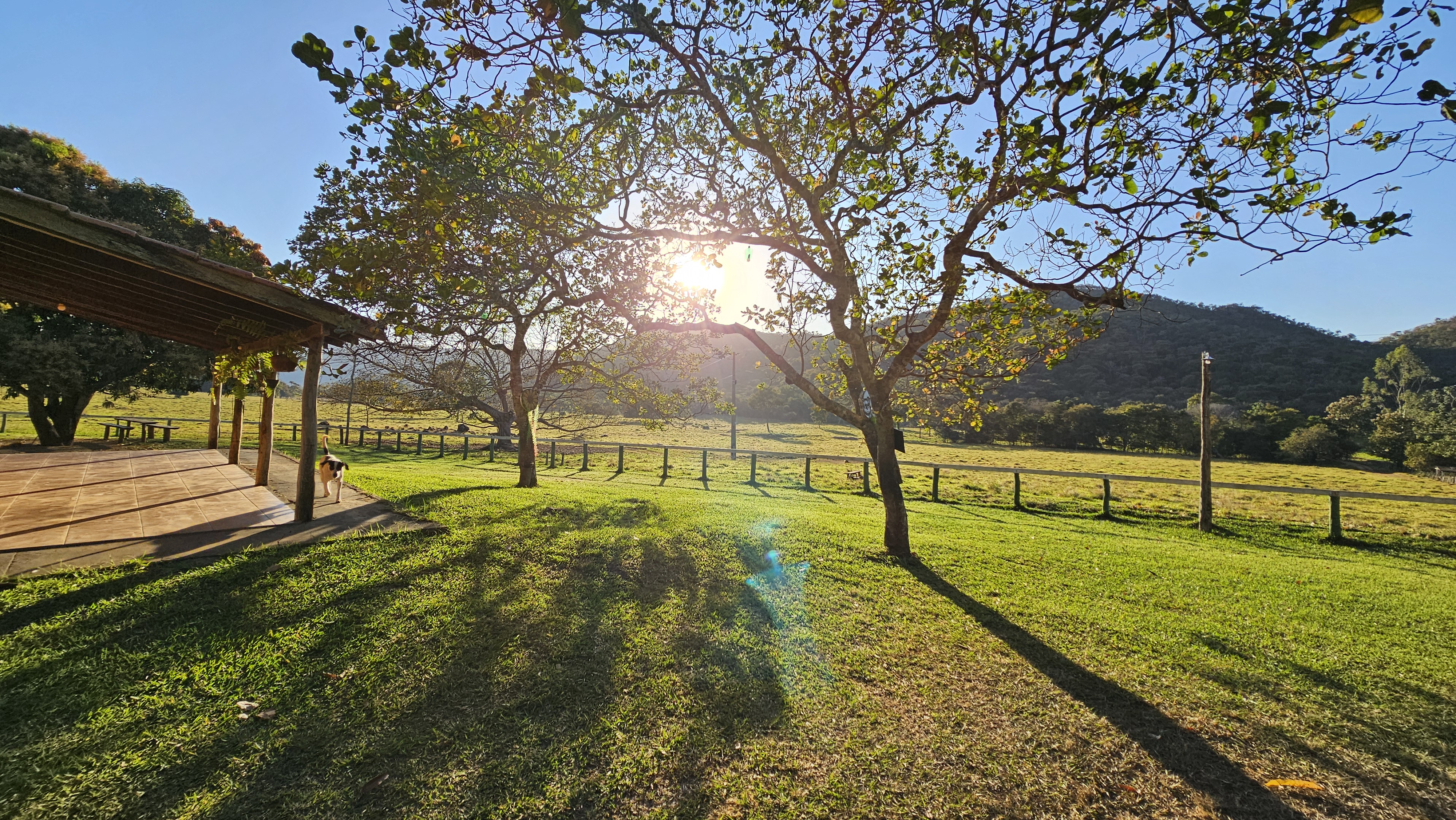 Fotografias Fazenda Gavião Real - Fazenda Gavião Real