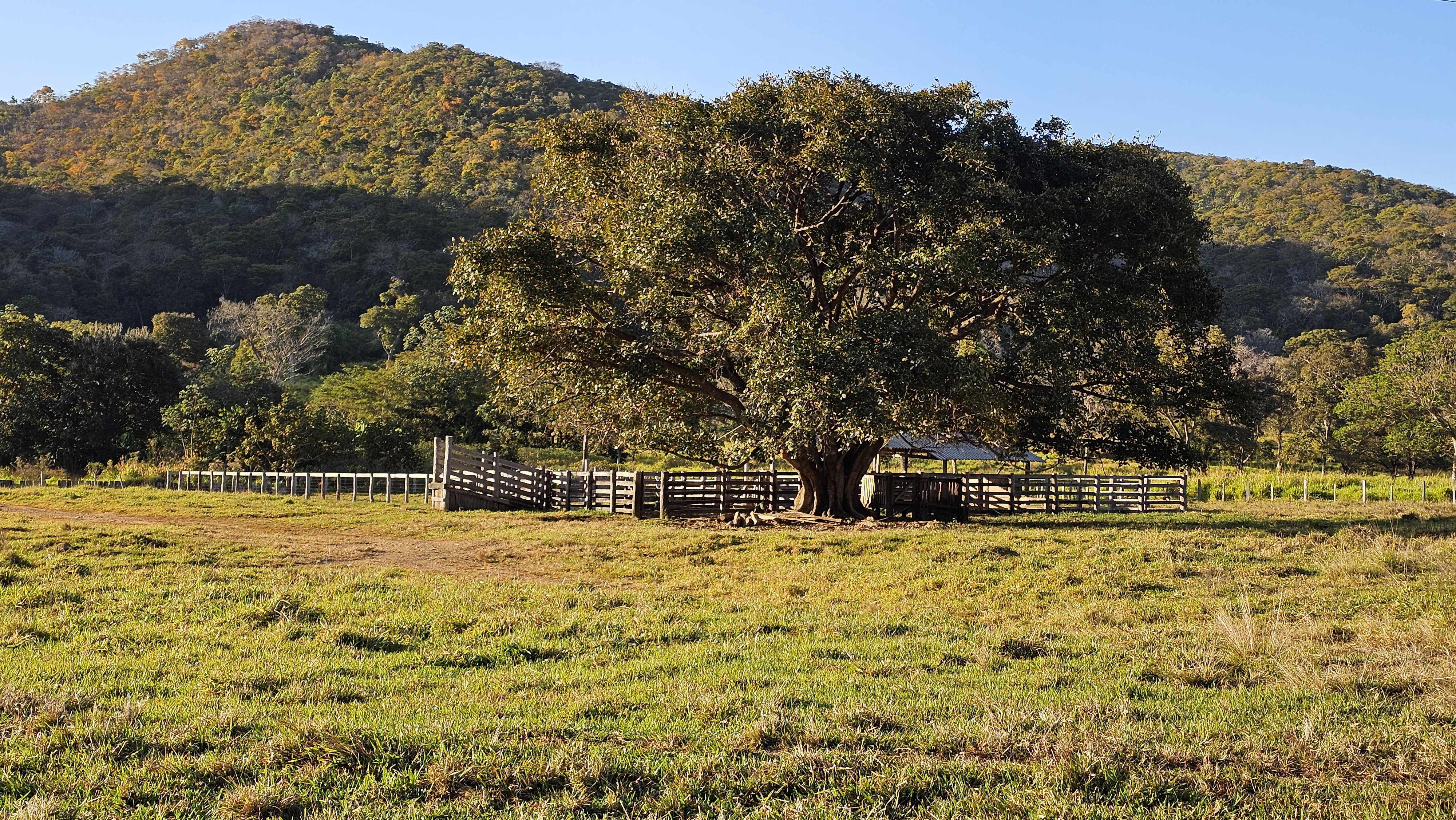 Fotografias Fazenda Gavião Real - Fazenda Gavião Real